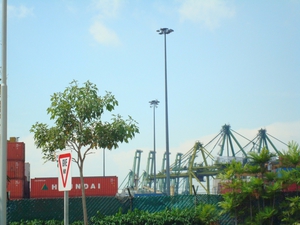 Port of Singapore Authority, is the 4th largest port in the world and the second busiest after Rotterdam. ZINGA was selected to galvanise 30 lighting masts